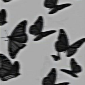 Meet your Posher, Aaliyah